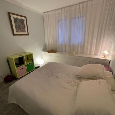 Domus Daire Canet-en-Roussillon Dış mekan fotoğraf